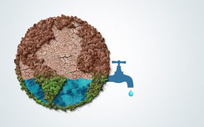 Acqua in Movimento: Le Ultime Innovazioni in Idraulica